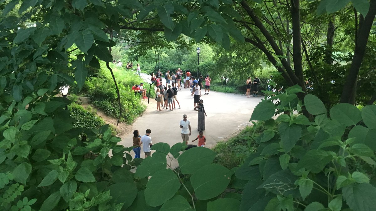 Skeny hráčů Pokémon Go mohou pohánět vojenské drony bez GPS, varuje nizozemská investigativa