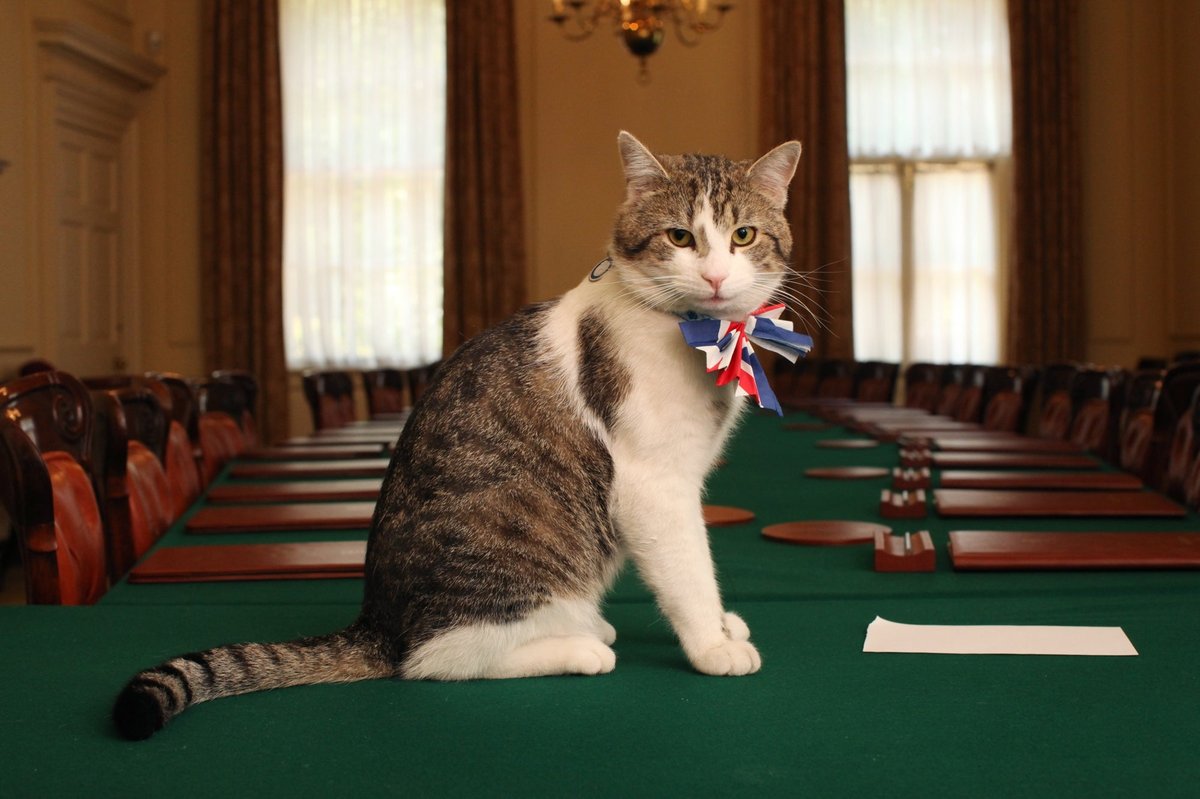 Kocour Larry přežil v Downing Street už šest premiérů. Starmer je zatím poslední