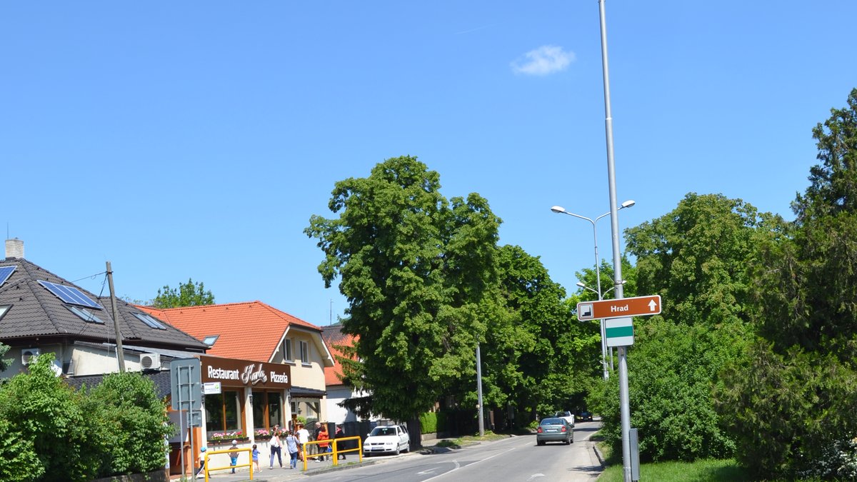 Útok na Indy v Nitře je stíhán jako zločin z nenávisti. Policie ho devět dní vedla jako přestupek