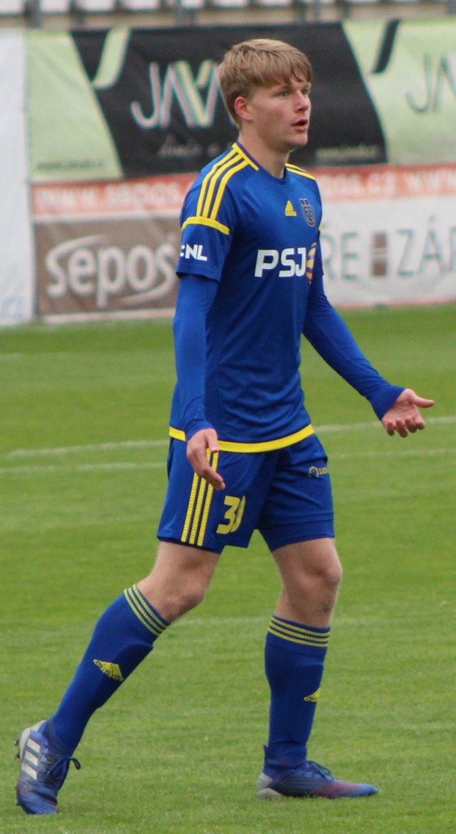 Šulcovo vyloučení oslabilo Česko, Anglie v Edenu vyhrála 2:0