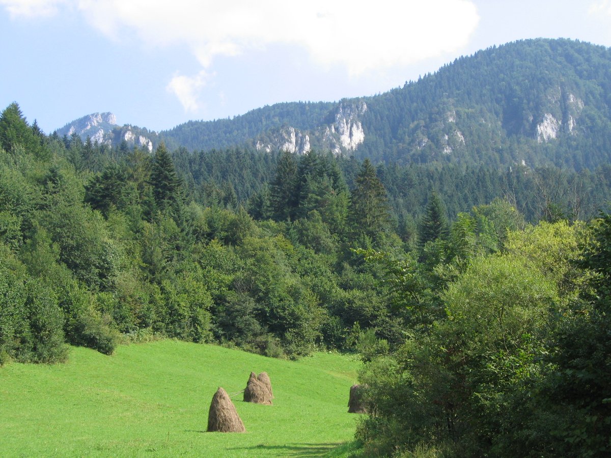 Malá Fatra se rušit nebude, Kuffa dál prosazuje přírodní park